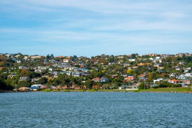 Dunedin - Yeni Zelanda 'daki Konutlar