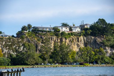Dunedin - Yeni Zelanda 'daki Konutlar