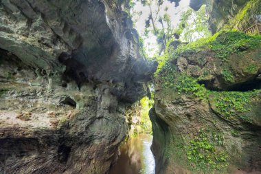 Mangapohue Limestone Gorge - New Zealand clipart