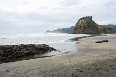 Aslan Rock Piha Beach - Yeni Zelanda