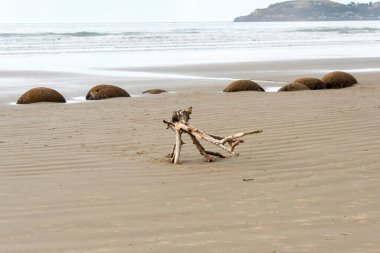 Moeraki Boulders Plajı - Yeni Zelanda