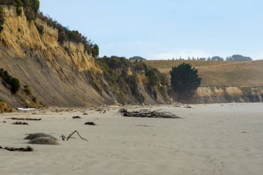 Moeraki Boulders Plajı - Yeni Zelanda