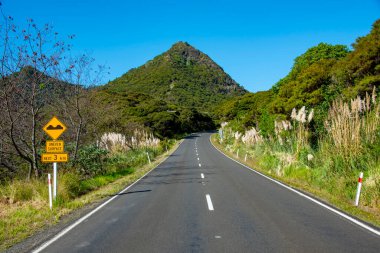 Yeni Zelanda Eyaleti Otoyolu 12 (Twin Coast Discovery Highway)