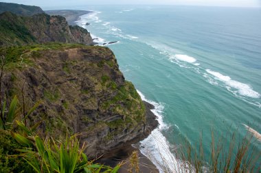 Waitakere Bölgesel Parkı - Yeni Zelanda