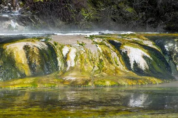 stock image Warbrick Terrace in Waimangu Volcanic Valley - New Zealand