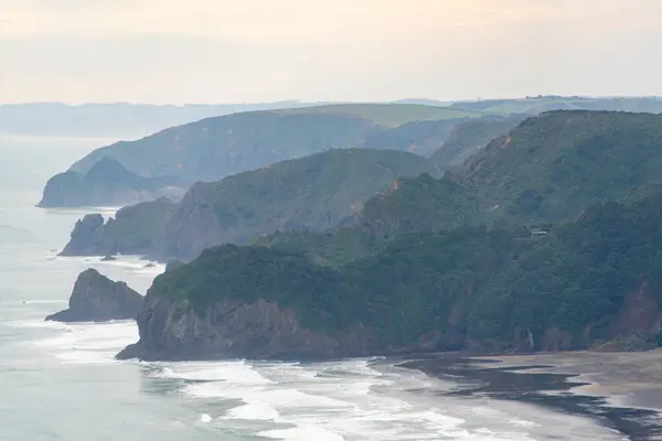 stock image Waitakere Ranges Regional Park - New Zealand