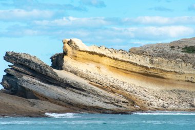 Castlepoint Reef - New Zealand clipart