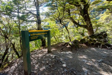 Şeytani Kase Yürüyen Raylar - Yeni Zelanda