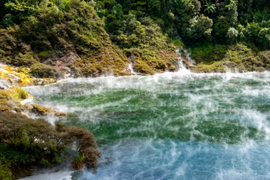 Waimangu Volkanik Vadisi 'nde Pan Gölü Kızarması - Yeni Zelanda