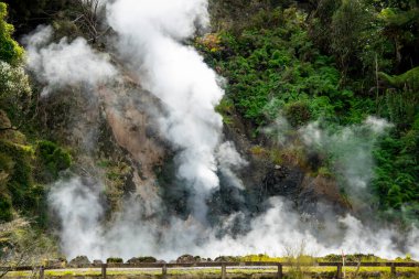 Waiotapu Termal Harikalar Diyarı - Yeni Zelanda