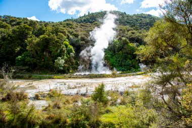 Waiotapu Termal Harikalar Diyarı - Yeni Zelanda