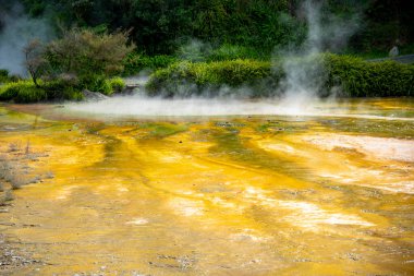 Waiotapu Termal Harikalar Diyarı - Yeni Zelanda