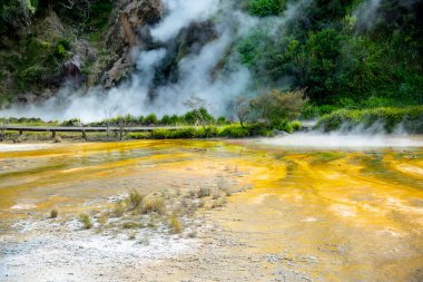 Waiotapu Termal Harikalar Diyarı - Yeni Zelanda