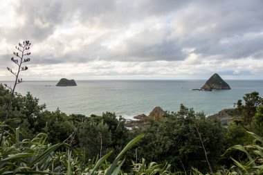 Paritutu Centennial Park, New Plymouth - Yeni Zelanda