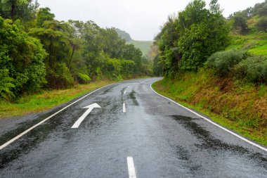 Te Anga Yolu, Waikato Bölgesi - Yeni Zelanda