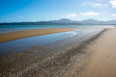 Hokianga Harbour in Northland - New Zealand clipart