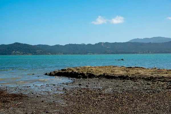 stock image Hokianga Harbour in Northland - New Zealand