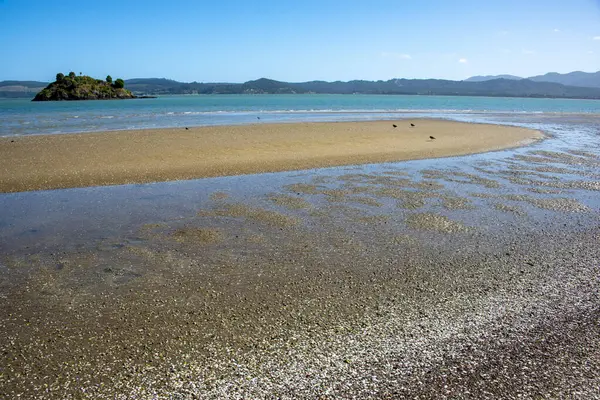 stock image Hokianga Harbour in Northland - New Zealand