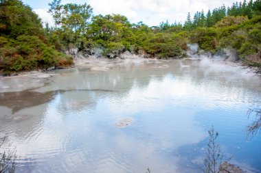 Waiotapu Mud Pool - New Zealand clipart