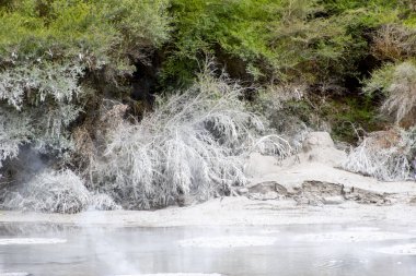 Waiotapu Çamur Havuzu - Yeni Zelanda