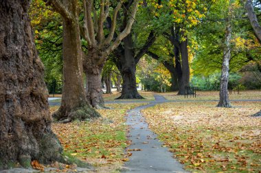 Hagley Park North - Christchurch - New Zealand clipart