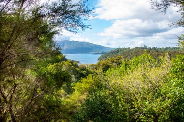 Waimangu Volkanik Vadisi 'ndeki Rift Vadisi Krateri - Yeni Zelanda