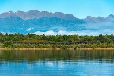 Güney Bölgesi Yeni Zelanda 'daki Eglinton Nehri