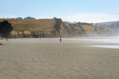 Moeraki Boulders Plajı - Yeni Zelanda
