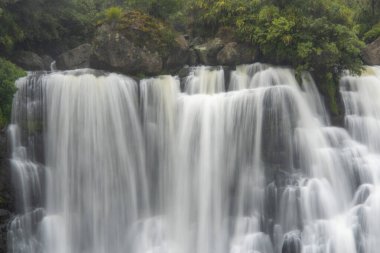 Marokopa Falls - New Zealand clipart