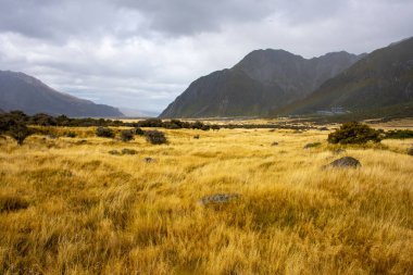 mount Cook Milli Parkı - Yeni Zelanda