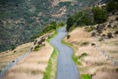 Akaroa 'daki Deniz feneri Yolu - Yeni Zelanda