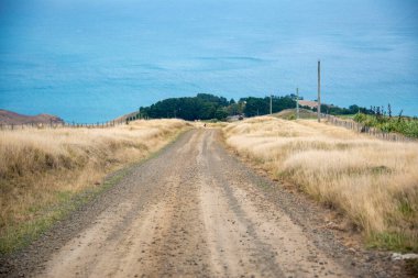 Akaroa 'daki Deniz feneri Yolu - Yeni Zelanda