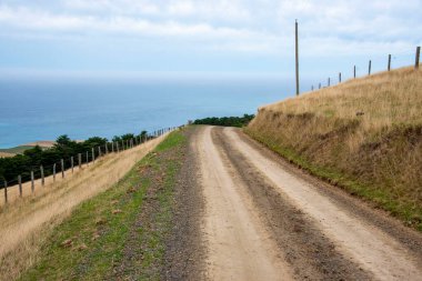 Akaroa 'daki Deniz feneri Yolu - Yeni Zelanda