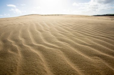 Cape Reinga 'daki dev kum tepeleri - Yeni Zelanda
