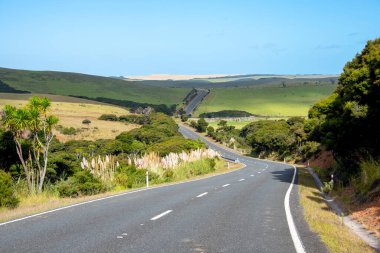 Yeni Zelanda Devlet yolu 1