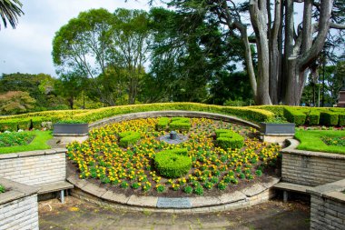 Albert Park - Auckland - Yeni Zelanda