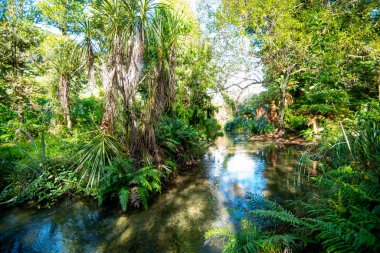 Te Wairoa 'nın Gömülü Köyü' ndeki Akıntı - Yeni Zelanda