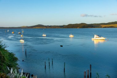 Houhora Harbour in Pukenui - New Zealand clipart