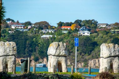 Dunedin, Yeni Zelanda 'da Ağız Azı Azı Azı.
