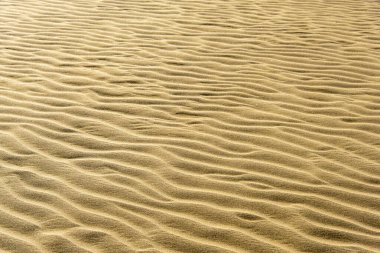 Giant Sand Dunes in Cape Reinga - New Zealand clipart