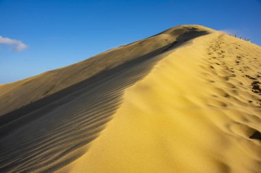 Cape Reinga 'daki dev kum tepeleri - Yeni Zelanda