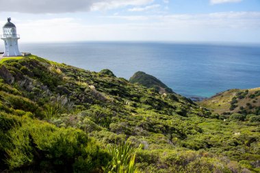 Cape Reinga deniz feneri - Yeni Zelanda
