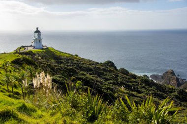Cape Reinga deniz feneri - Yeni Zelanda