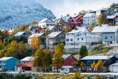 Çekiç Festivali - Norveç