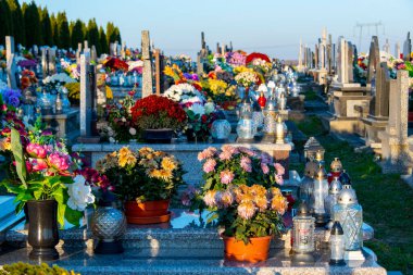 Tüm Azizler günü - Polonya üzerinde çiçekli Graves