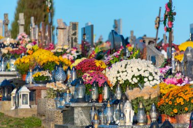 Tüm Azizler günü - Polonya üzerinde çiçekli Graves