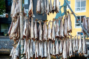 Hava Kurutulmuş Fermente Balığı - Faroe Adaları