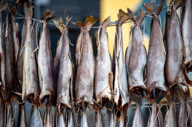 Hava Kurutulmuş Fermente Balığı - Faroe Adaları