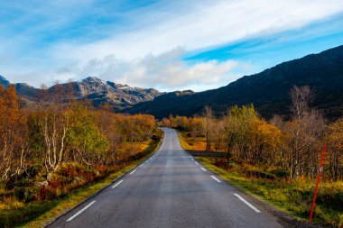 İlçe Yolu (FV) 807 Nusfjord - Norveç
