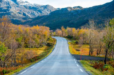 İlçe Yolu (FV) 807 Nusfjord - Norveç
